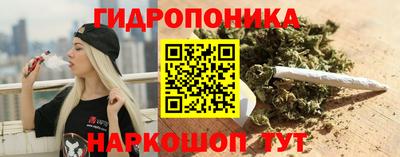 Альфа ПВП Лесосибирск