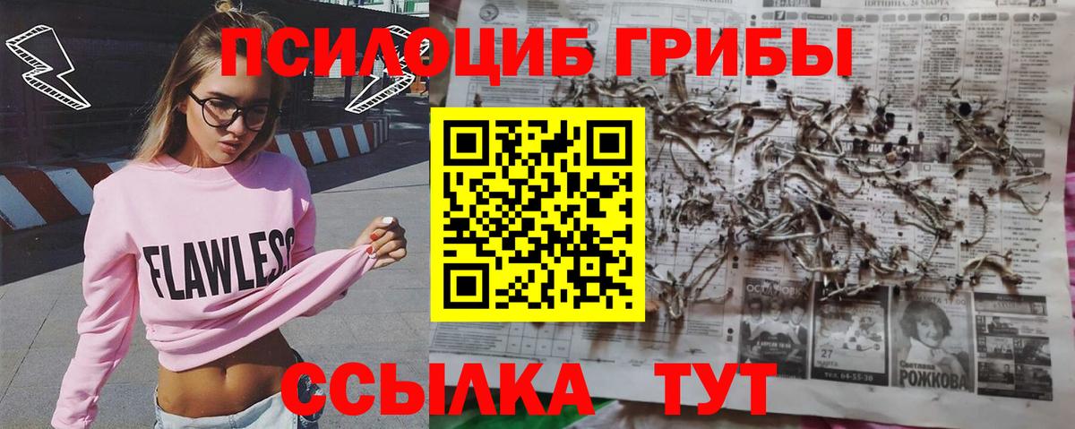 Бугуруслан  как найти закладки  Вход с VPN  Псилоцибиновые грибы прущие грибы 