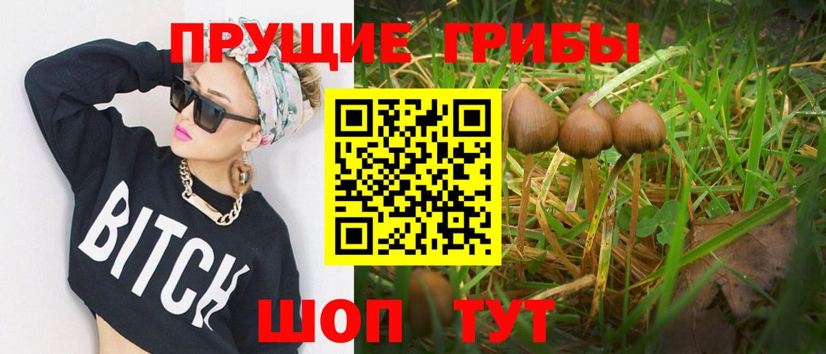 Псилоцибиновые грибы ЛСД Бугуруслан